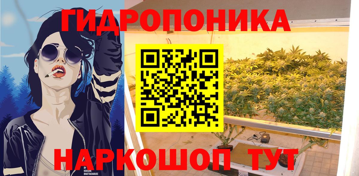 Конопля AK-47 Жигулёвск